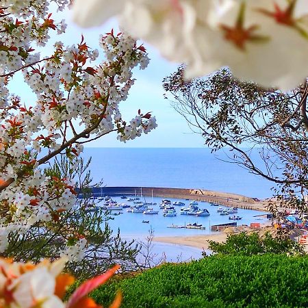 Apartament Seabreeze Lyme Regis Zewnętrze zdjęcie