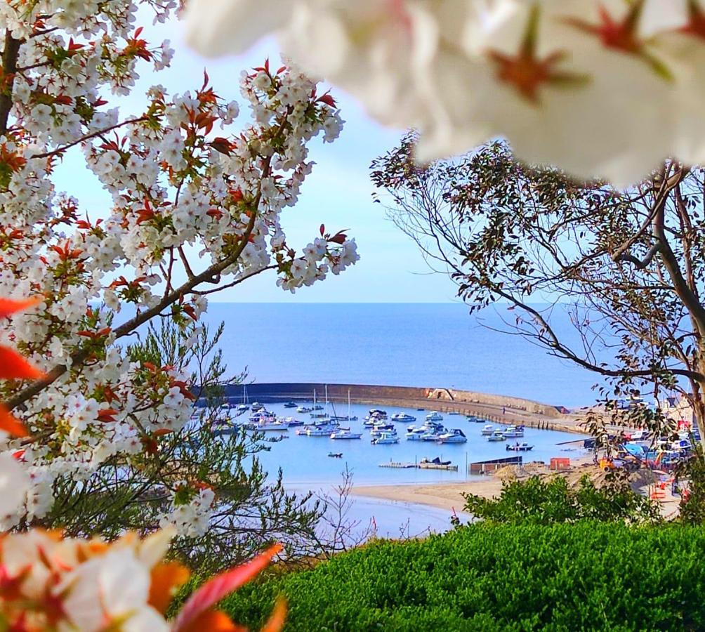Apartament Seabreeze Lyme Regis Zewnętrze zdjęcie